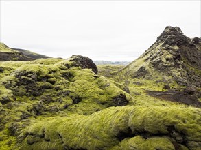 Moss-covered volcanic landscape