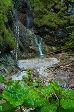 Difficul trail with ladder near the waterfall in canyon of National park Slovak paradise