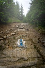 Marking the hiking trail in blue
