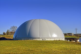 Biogas container