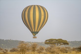 Early morning balloon flight