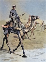 English Camel Riders in Egypt