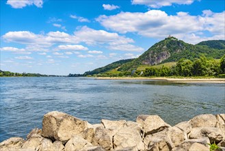 View across the Rhine to the Drachenfels with the ruins of Drachenfels Castle