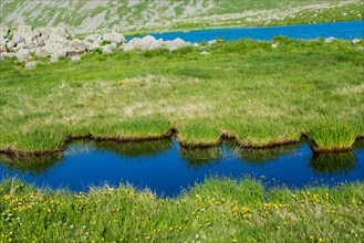 Highland lake in green natural background in Artvin province of Turkey