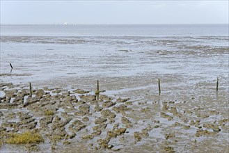 View of the Wadden Sea at low tide at the eastern harbour of Norddeich