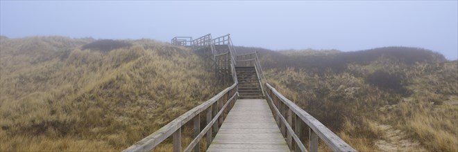 Wooden footbridge through the dune landscape