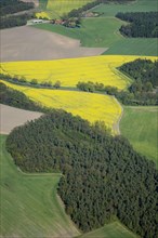 Aerial view of agricultural landscape in spring