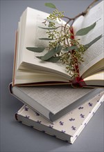 Three books with branch