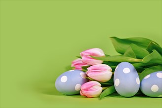 Tulip flowers and painted blue Easter eggs on green background with copy space