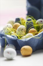 Blue Egg Box with Small Easter Eggs and Grass