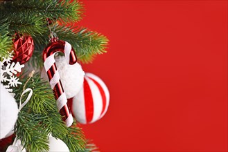 Candy cane Christmas tree ornament hanging from branch in front of red background