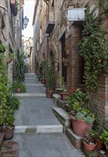 Street with flowerpots
