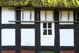 Half-timbered house at the Duemmer