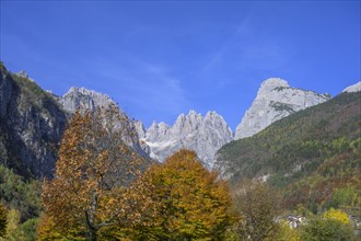 Mountains of the Brenta Group and autumn coloured trees