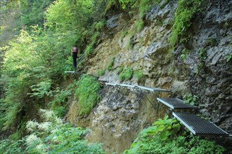 A tourist in the beautiful gorges of the Slovak Paradise National Park. Slovakia