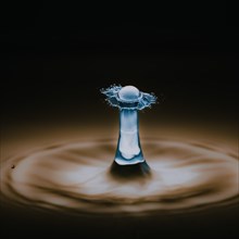 Macro Photography Water Drops