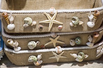 Various types of little seashells and starfish on the face of the basket