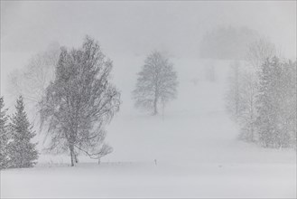 Winter landscape in the Swabian Alb