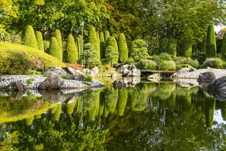 Japanese garden in the Rhine meadows