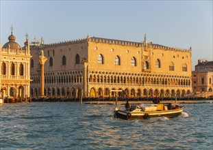 Doges Palace in the Morning