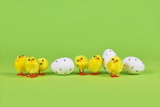 Decorative small easter chickens and eggs in a row on green background