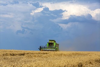 Grain harvest under thunderclouds