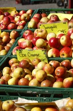 Apples with price tags at a market stall