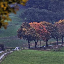 Dark winding road in autumn
