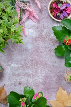 Cement background with flowering plants around it copy space