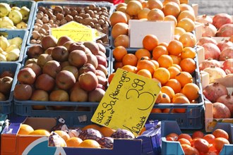 Juice oranges and fruit with price tag at a market stall