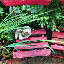 Cherub on an old red garden chair