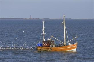 Crab cutter on fishing trip off Norderney