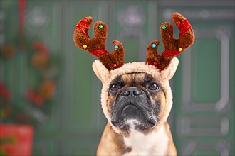 Cute French Bulldog dog with Christmas reindeer antler costume headband