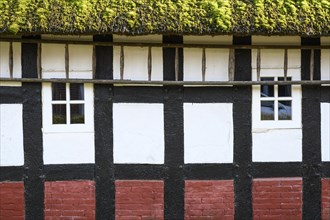 Half-timbered house on the Duemmer