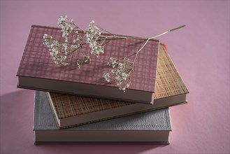 Three Books with Celandine on a Pink Background