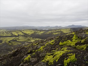 Moss-covered volcanic landscape