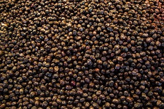 Turkish style prepared olives in the market stands