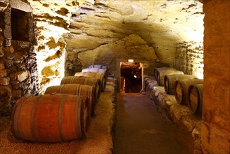 Wine cellar in the castle of Lourmarin