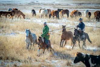 Riders catching the horses. Dornod Province. Mongolia