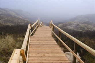 Wooden footbridge through the dune landscape