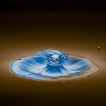 Macro Photography Water Drops