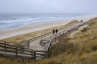 Wooden footbridge through the dunes to the beach