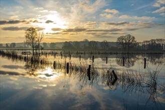 Flooding of the Lippe floodplains on the River Lippe at sunrise