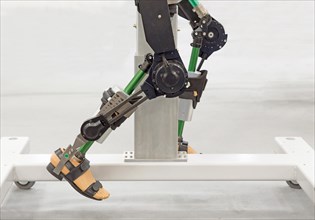 Automated articulated leg robot