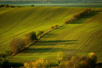 A wonderful morning in the Moravian fields in autumn. Beautiful colours. Czech republic