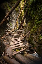 Wooden ladders over the stream in the gorges of the Slovak Paradise. Slovakia