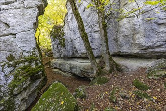 Rock massif Gespaltener Stein in autumn