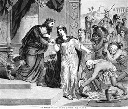 Doe Queen of Sheba at Solomon's Court