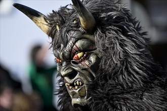 Fools Guild Wolfs-Daemonen from Schauenburg at the Great Carnival Parade