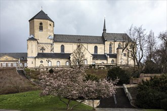 St. Vitus Minster on the Abteiberg